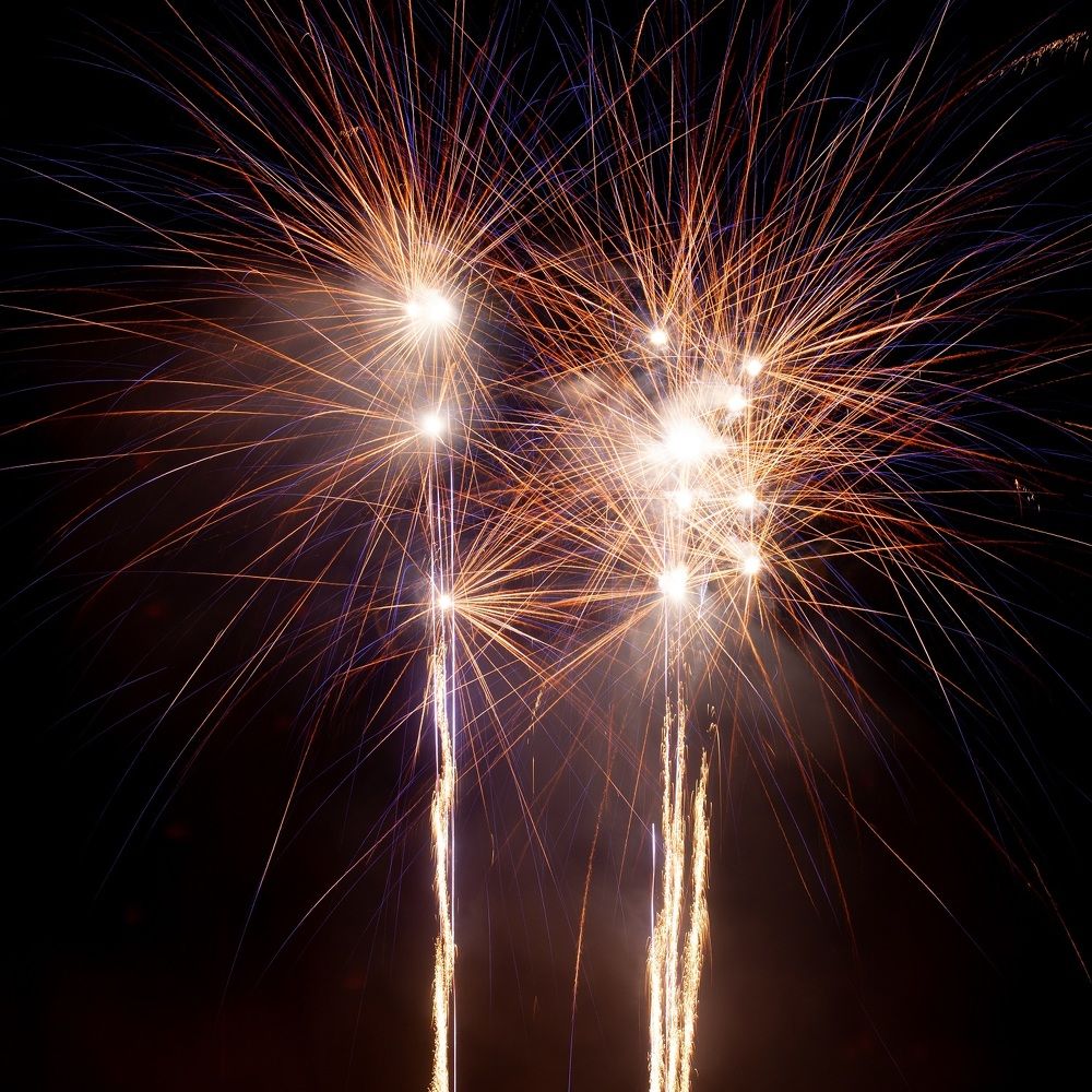 Фотография автора Anne Gabrielle Mougin