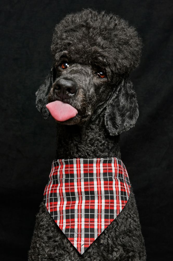 Photograph by Igor Sremac