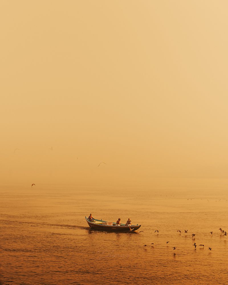 Photograph by Dhruva Verma