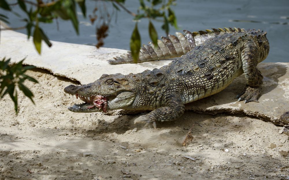 Photograph by Mousa Taghavi Namin