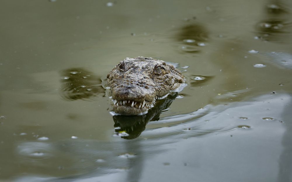 Photograph by Mousa Taghavi Namin