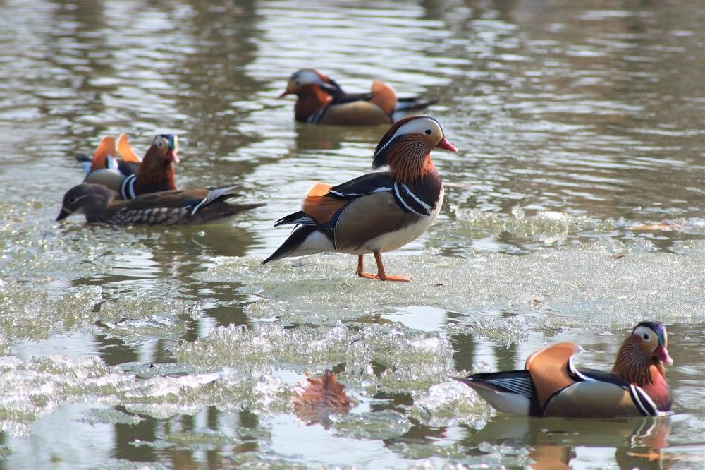 Photograph by Переверзева Татьяна