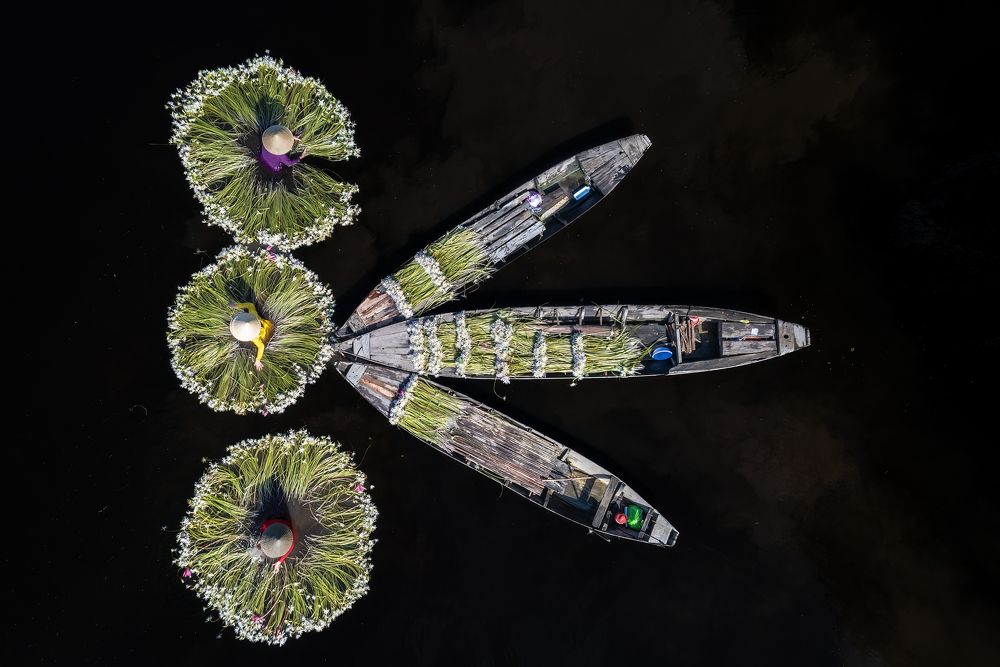 Photograph by GERMAN A. LA ROTTA H.