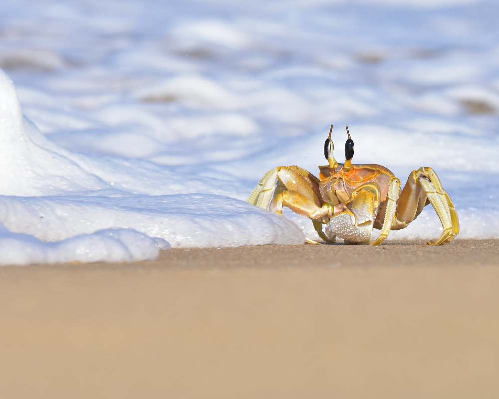 Photograph by Vishal s