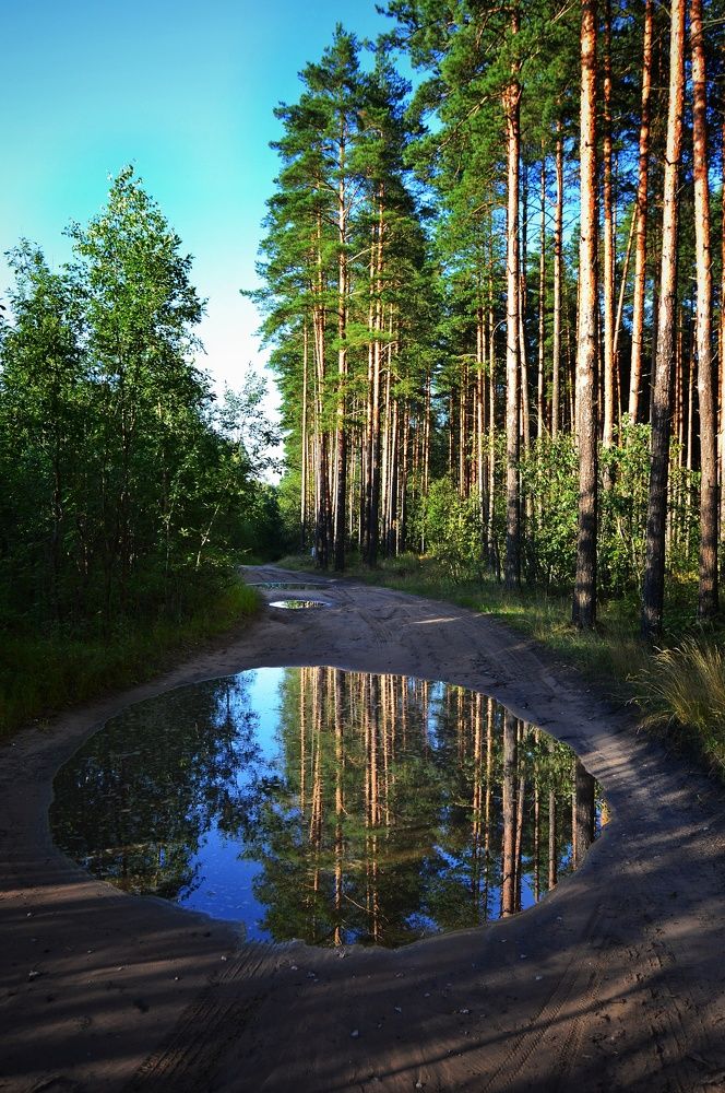 Photograph by Сергей Островский