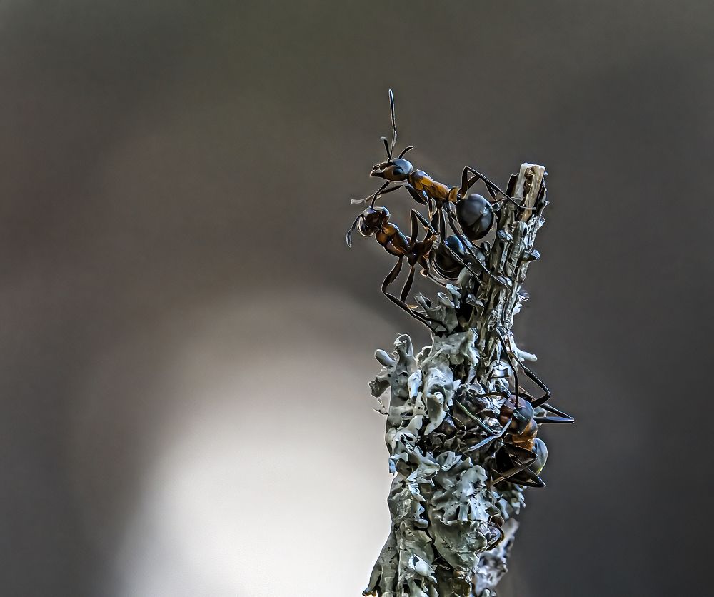 Photograph by Юрий Чернов