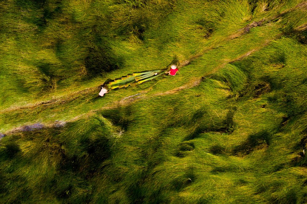 Photograph by Trần Văn Trường