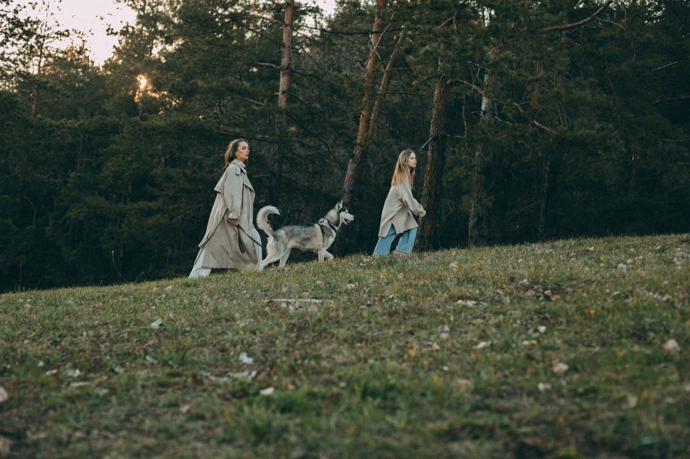 Трое в закате, считая собаку..