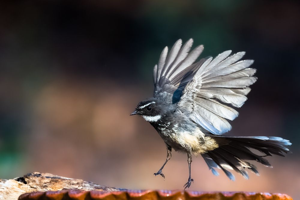 Photograph by Tushar Chindarkar