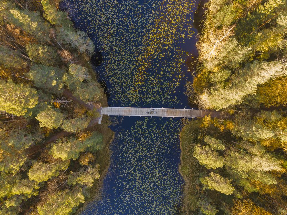 Photograph by Olga Smirnova