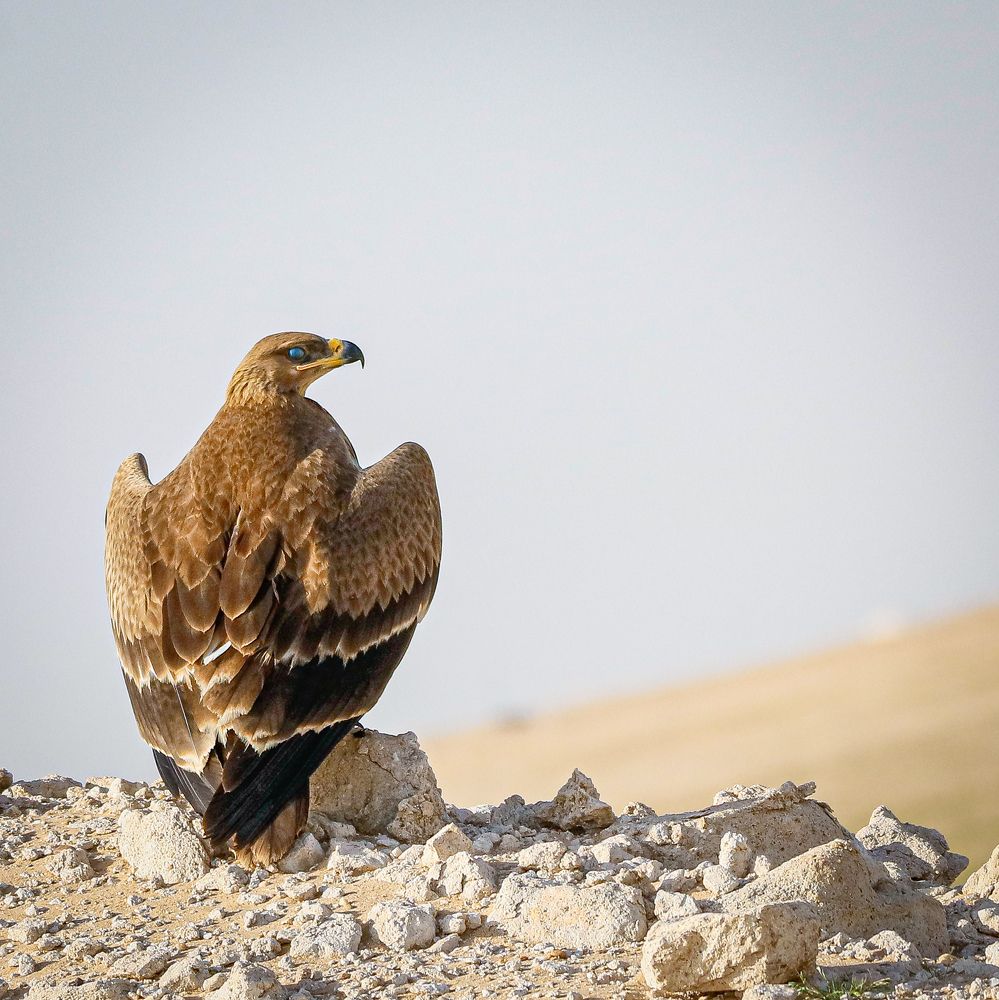 Photograph by Renny Joseph