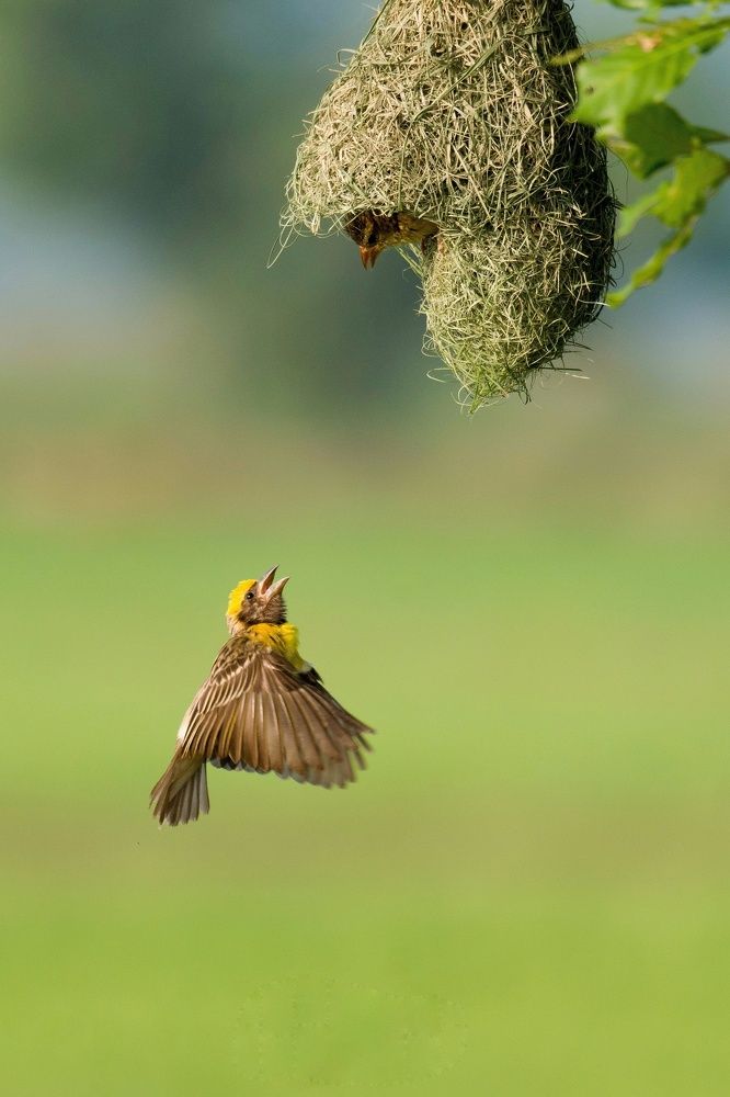 Photograph by vishnu ts