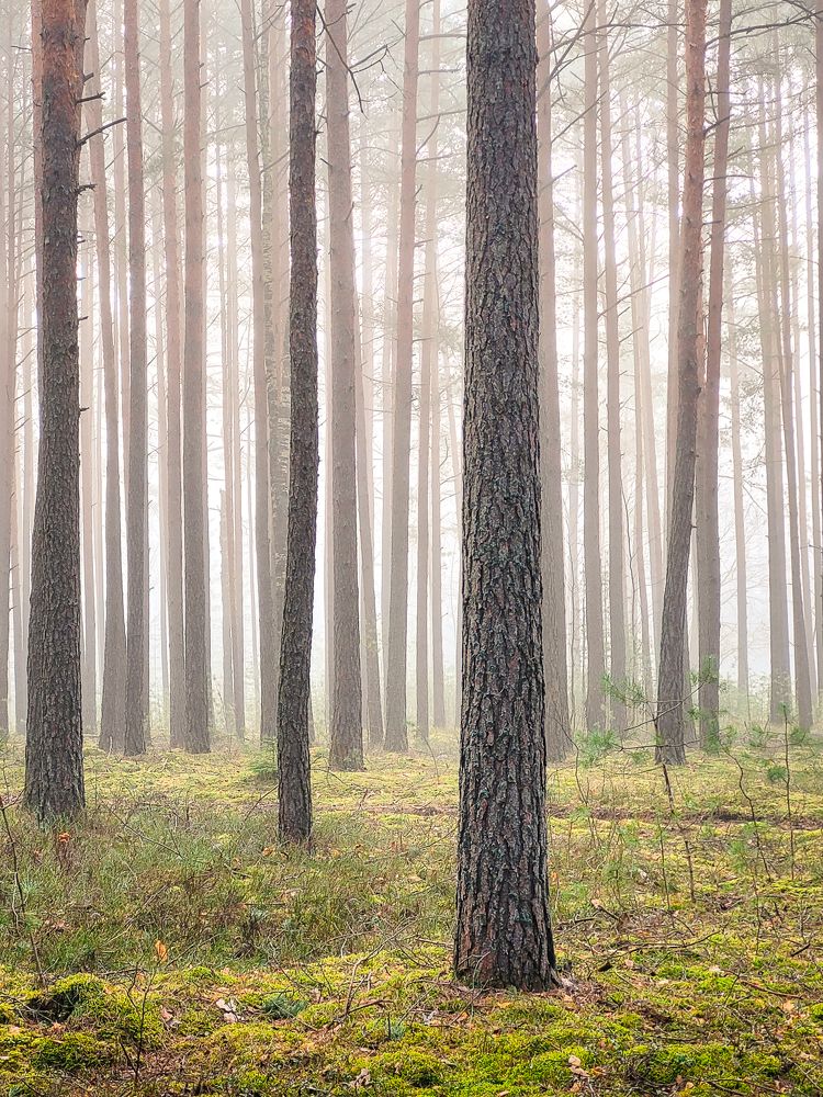 Photograph by Александр Тарасевич