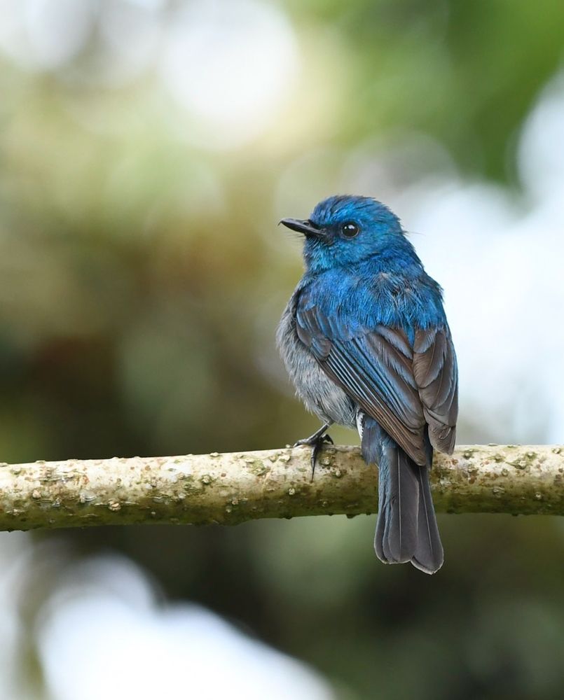 Photograph by George S George