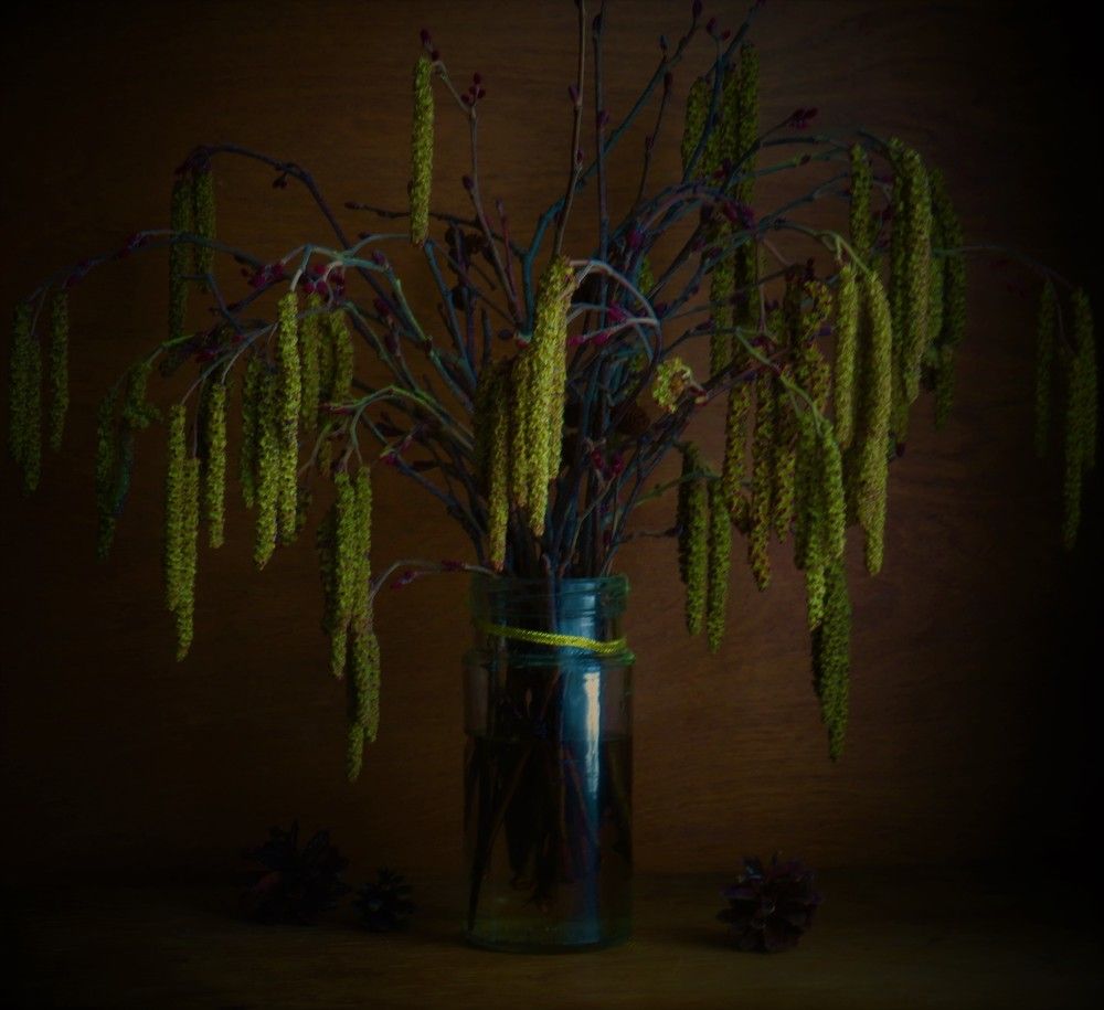 Photograph by Людмила Кононова