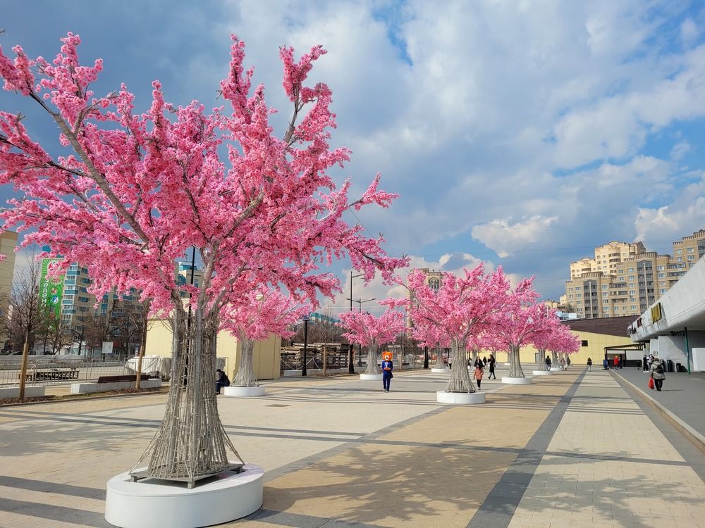 Photograph by Анна Новосельцева