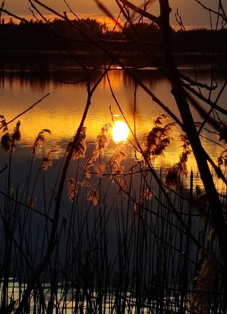 Photograph by Rolandas Valančauskas