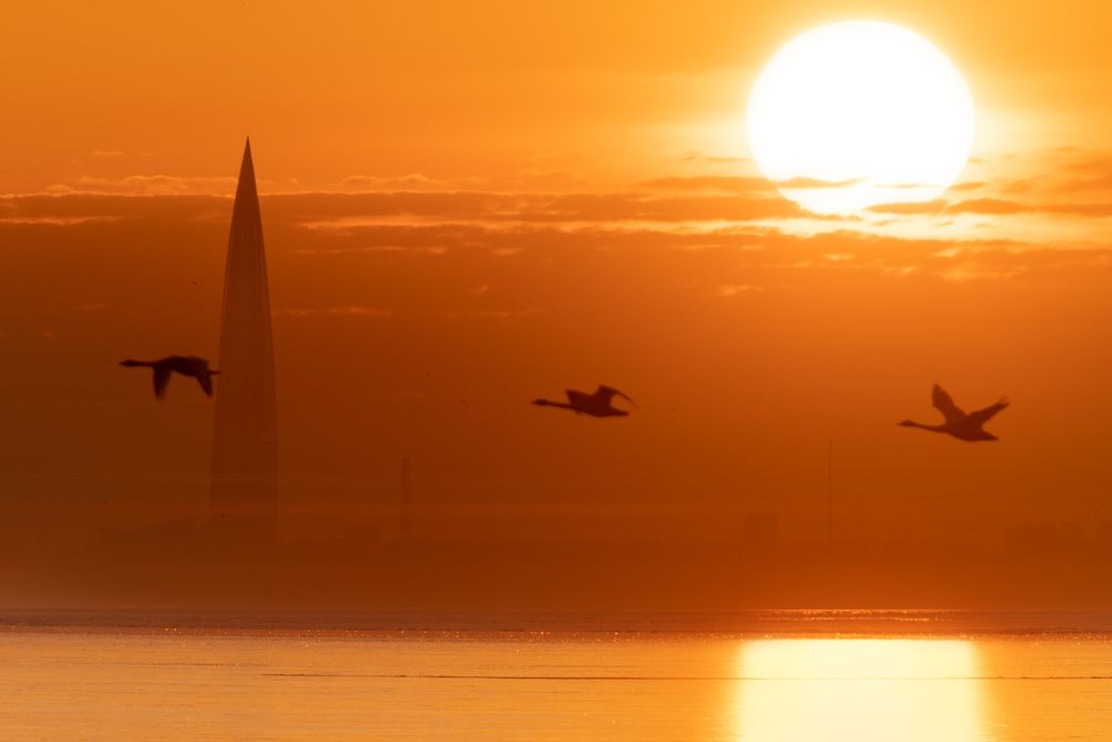 Photograph by Dmitry Yudchenko