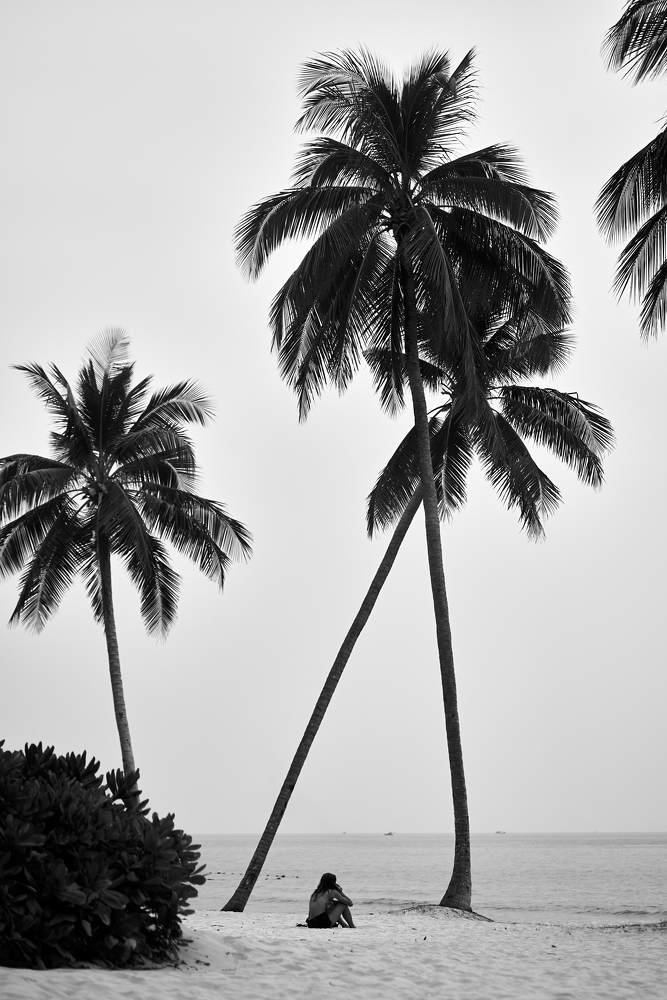 Photograph by Дмитрий Солодухин