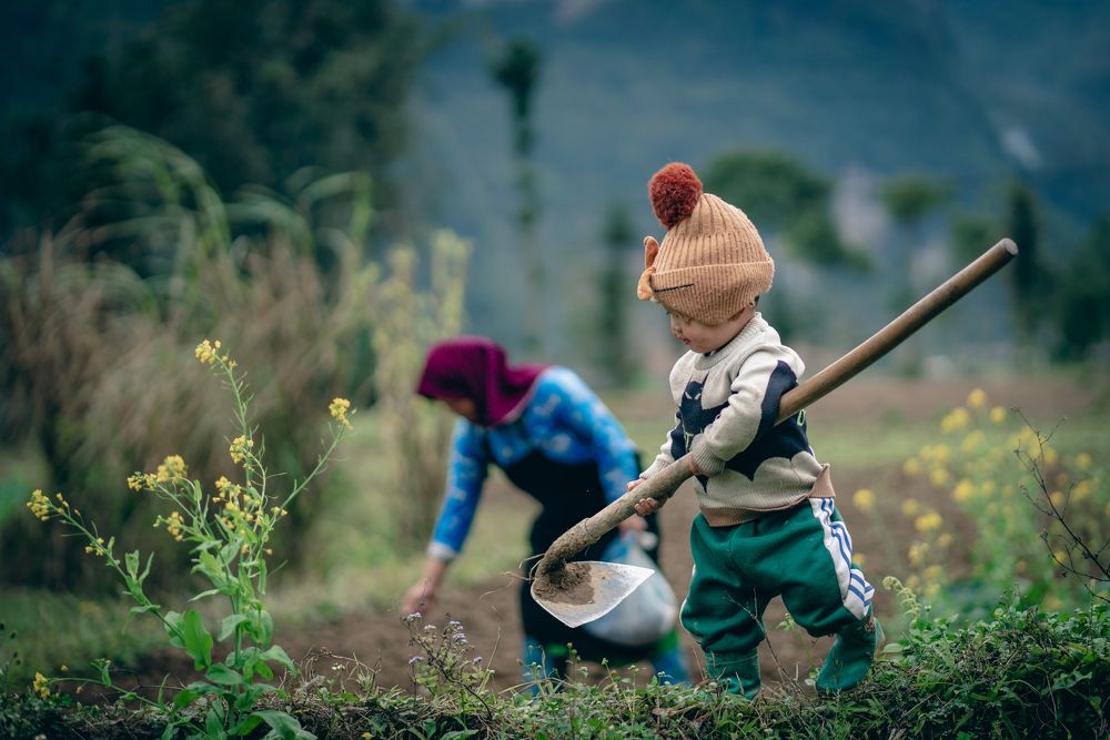 Photograph by Tuan Anh Nguyen