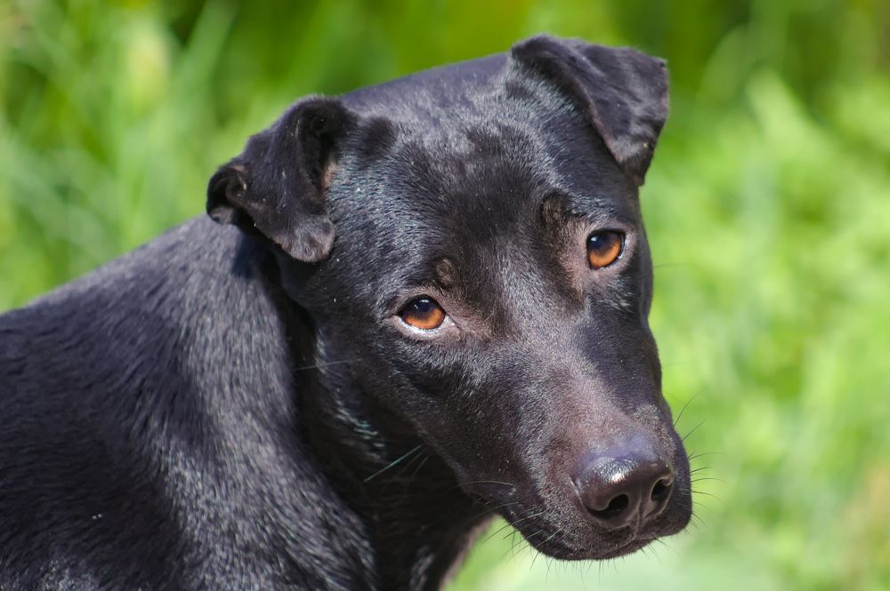 Photograph by Guillermo Topp