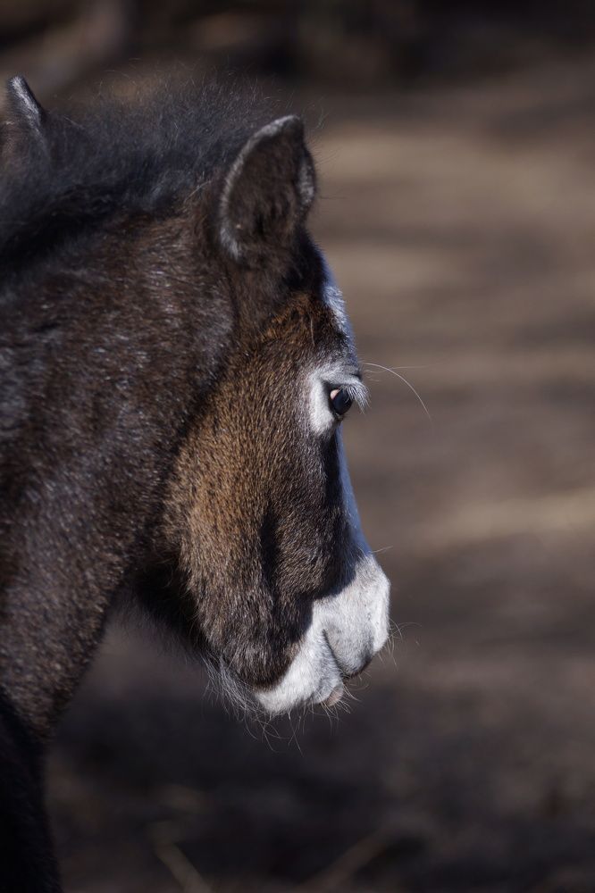 Photograph by Елена Рябцева