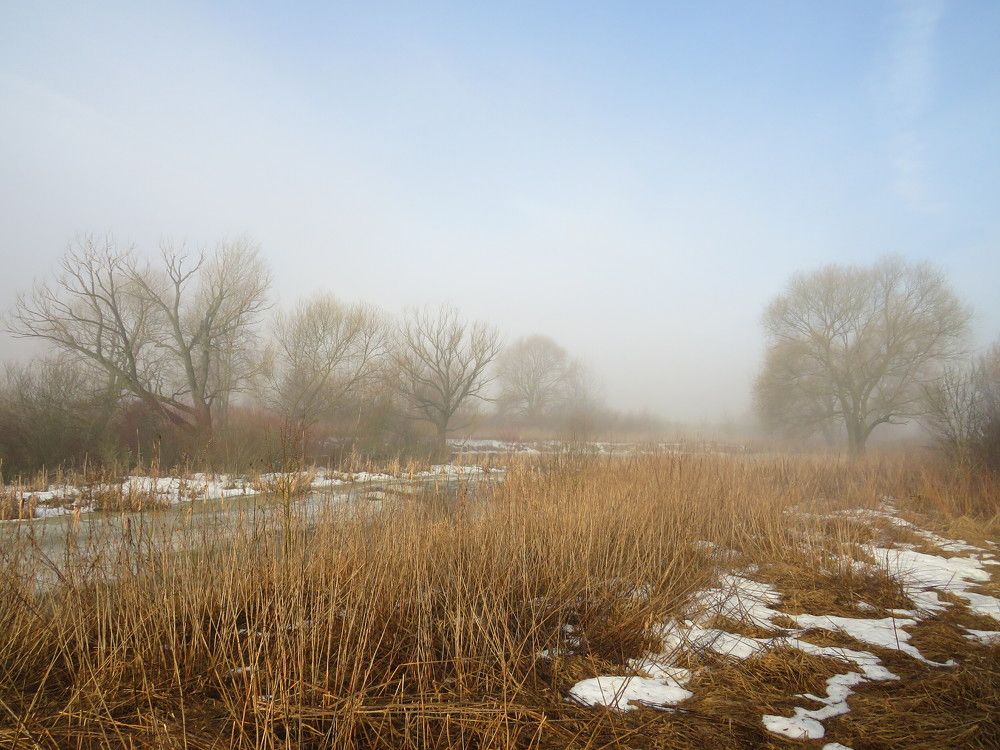 Туманное утро