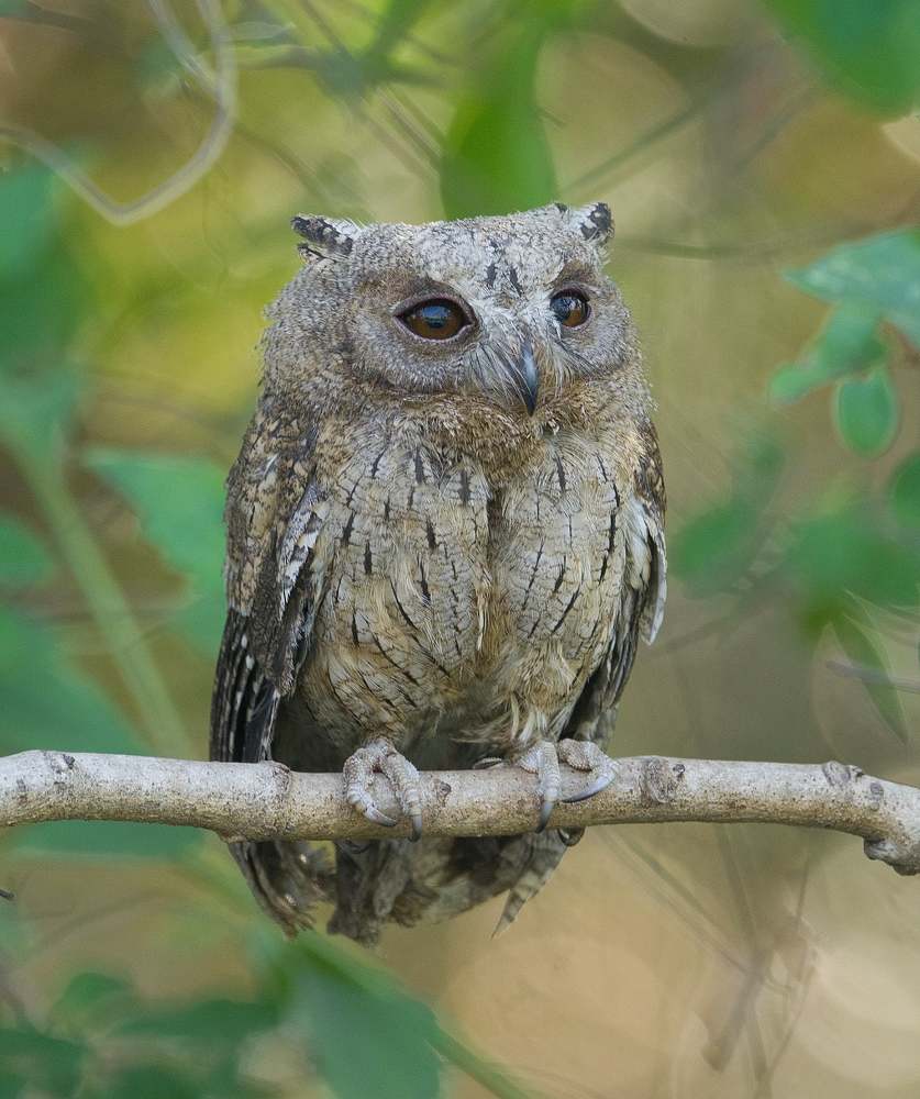 Photograph by Vishal s