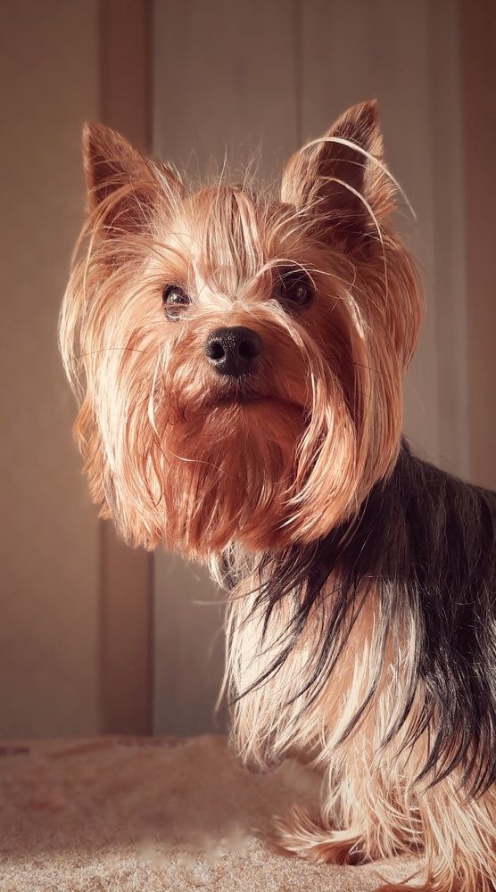 Фотография автора Ольга Кунакова