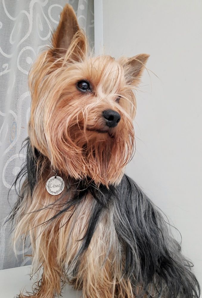 Фотография автора Ольга Кунакова