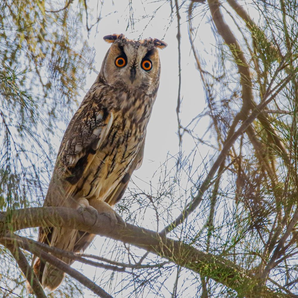 Photograph by Renny Joseph