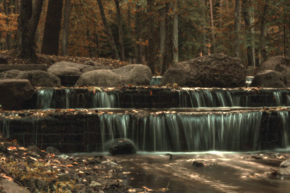 Photograph by Диана Бородзе