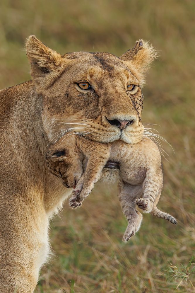 Photograph by Shuli Greenstein