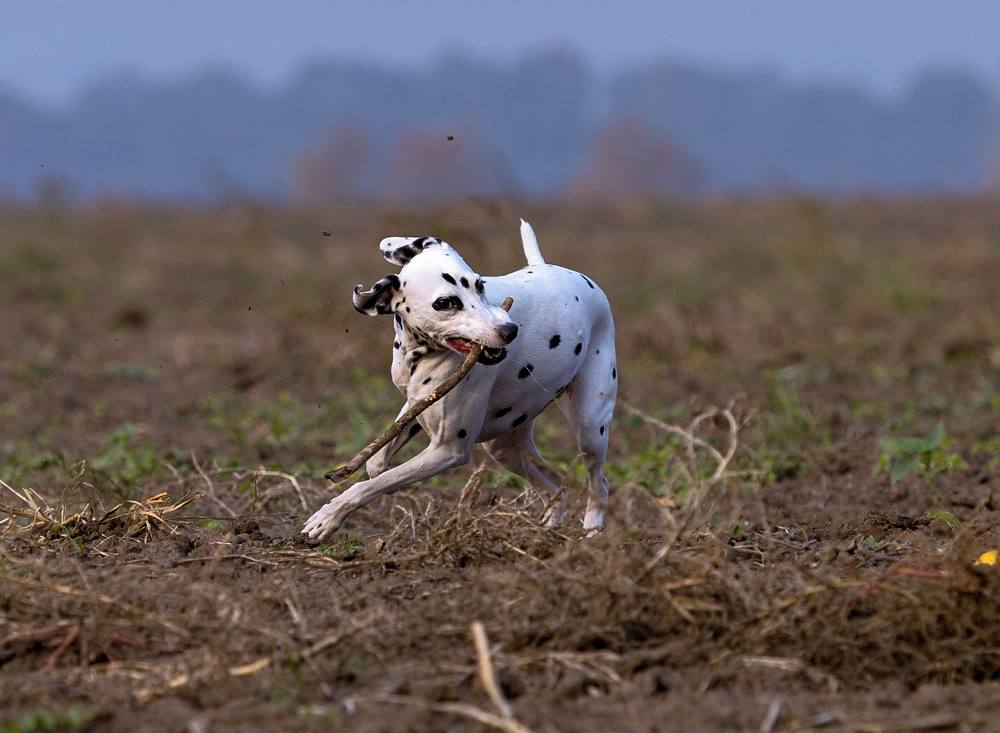 Photograph by Oksana