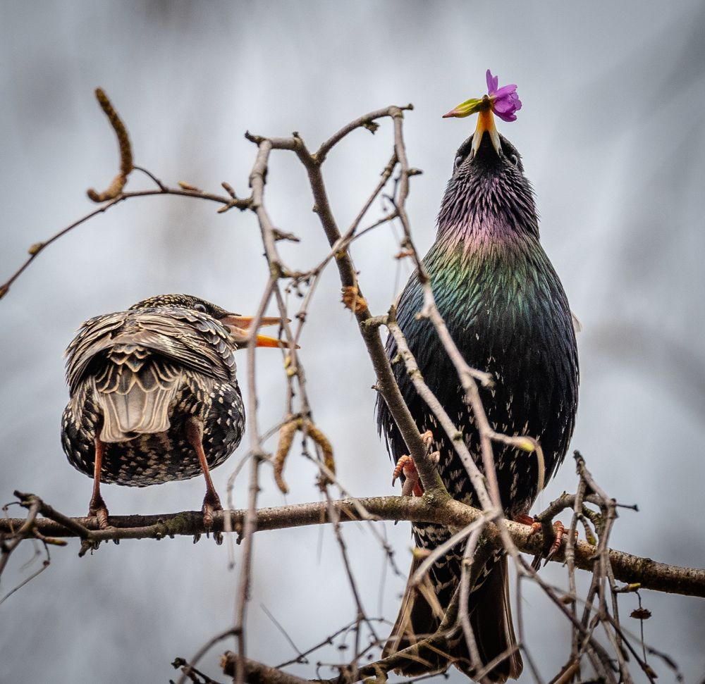 Photograph by Курлянцев Алексей