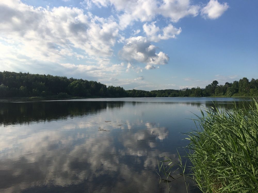 Photograph by Александр Курынов