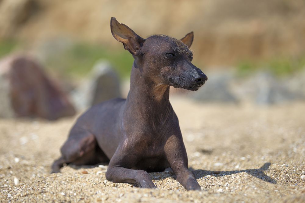 Photograph by Oksana