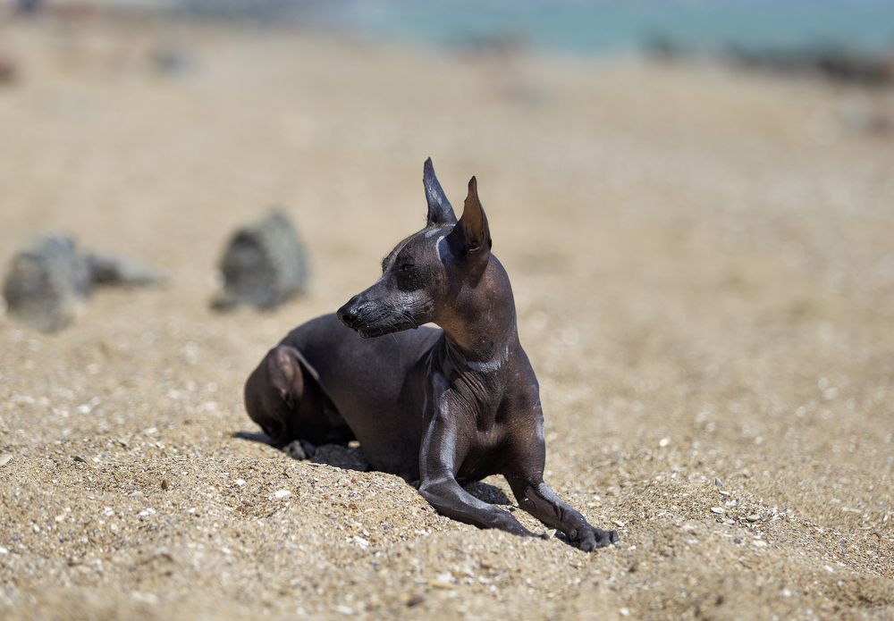 Photograph by Oksana