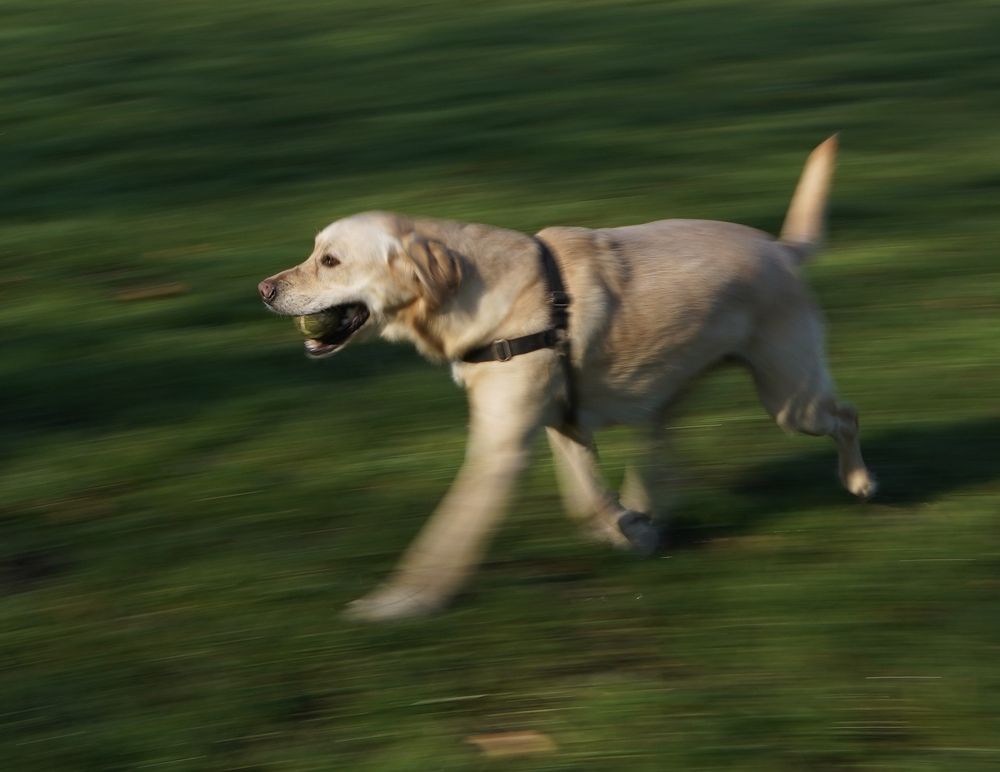 Photograph by Svetlana Kornilova