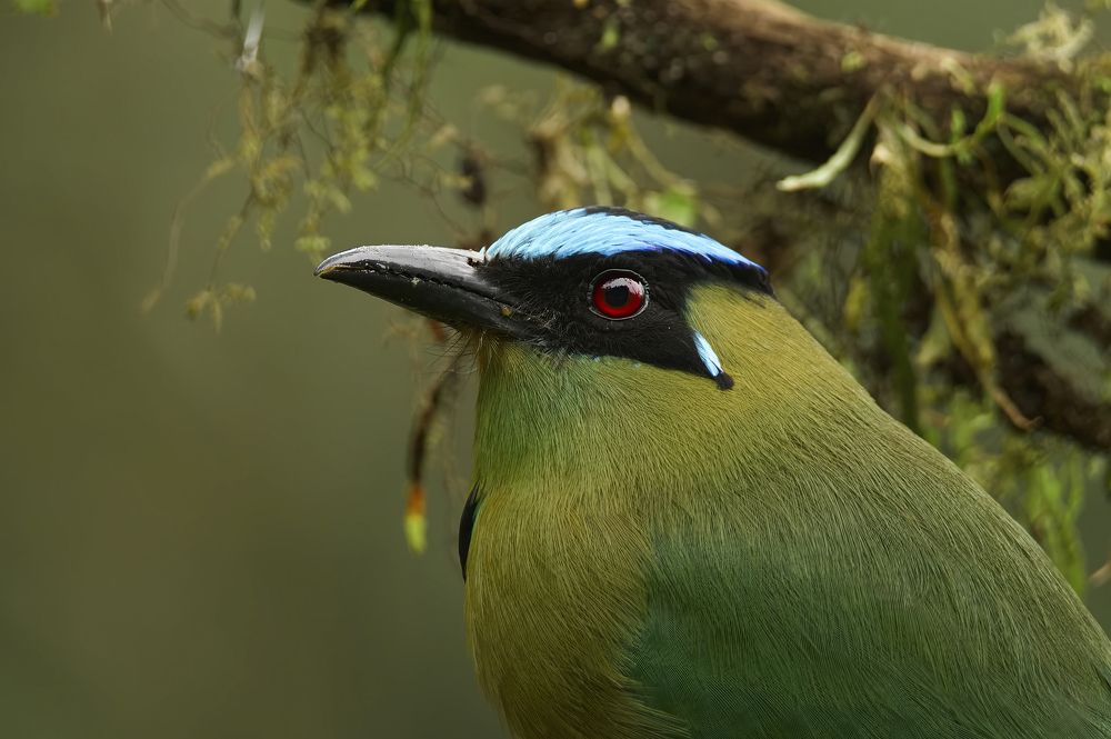 Photograph by LUIS FERNANDO CACERES GÓMEZ