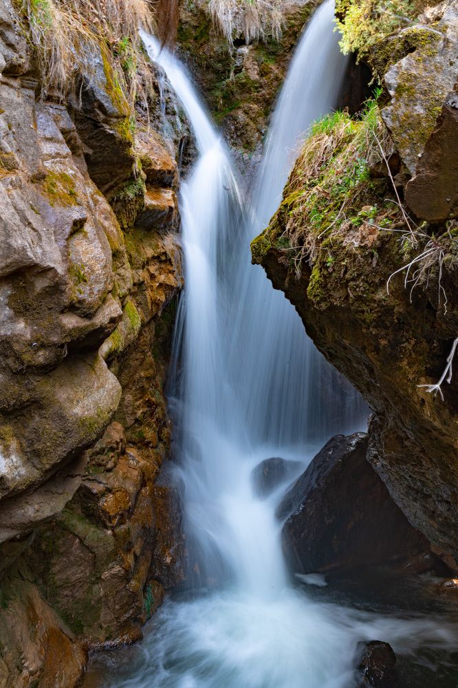 Photograph by Алена Устинович