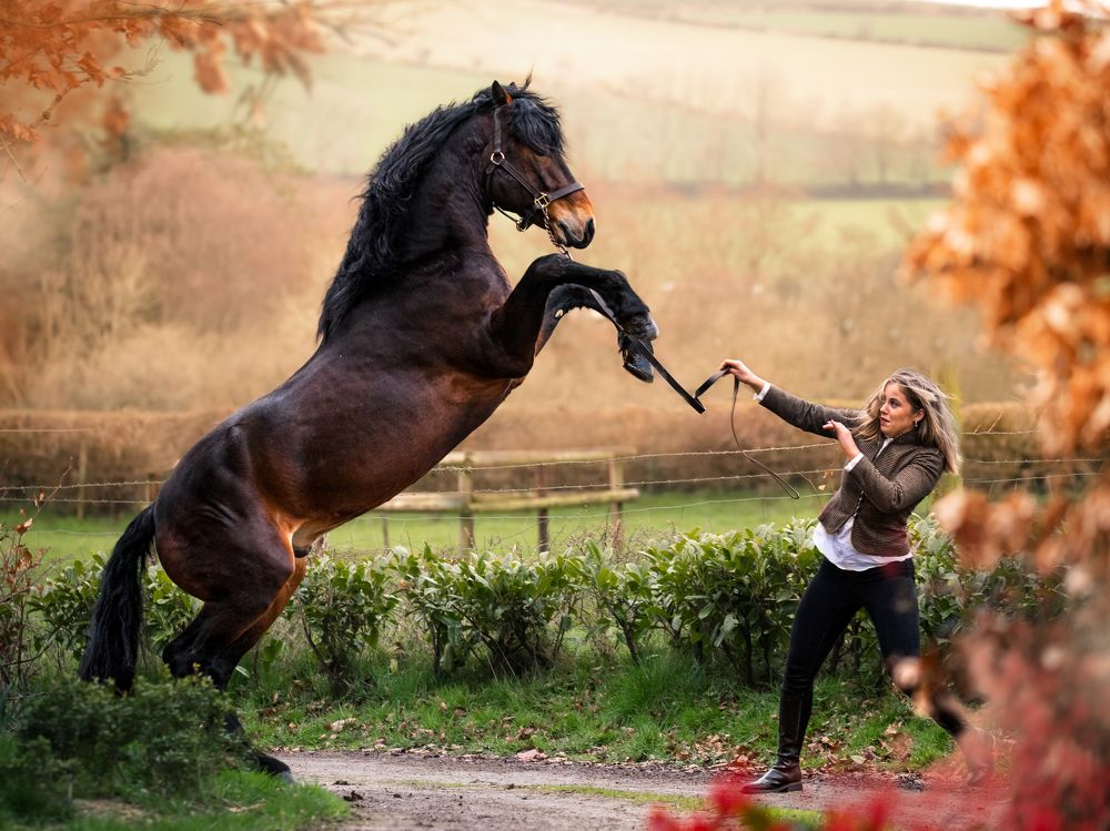 Фотография автора Nadina Ironia