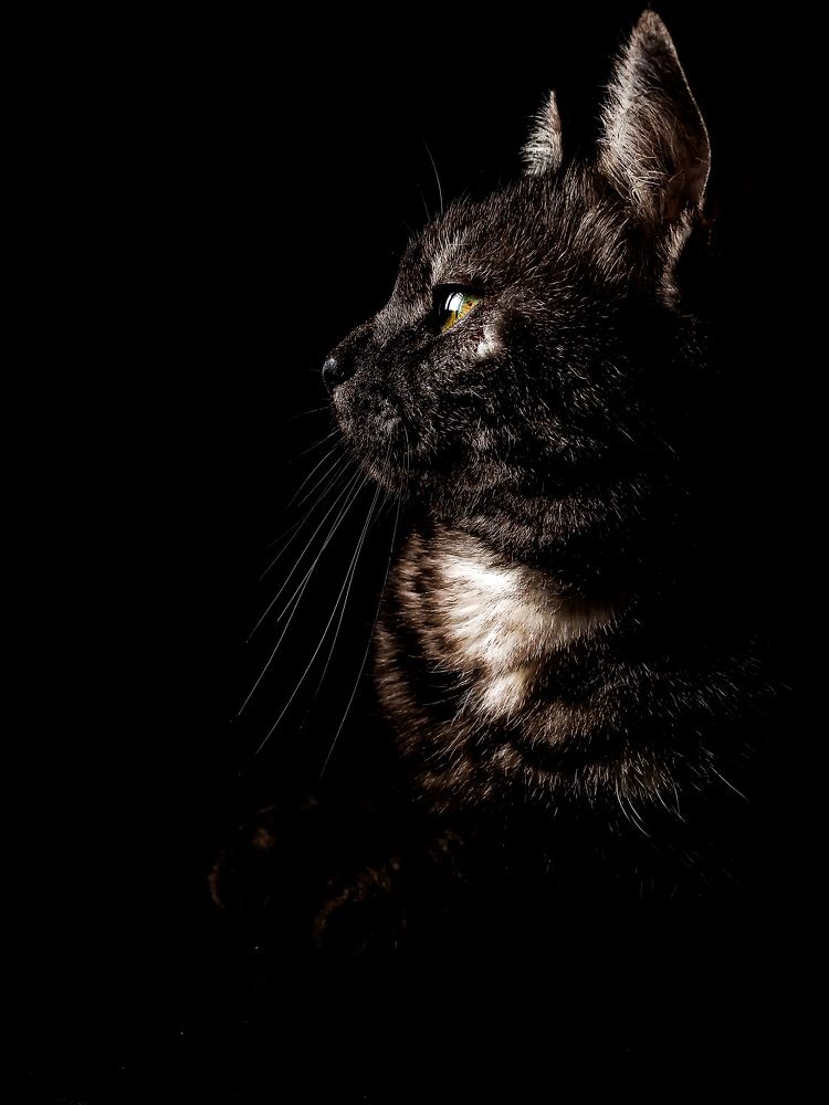 Photograph by Яна Чернега