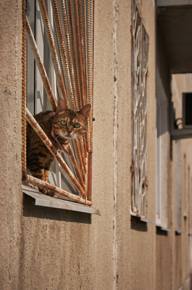 Photograph by Вадим Быстрыкин