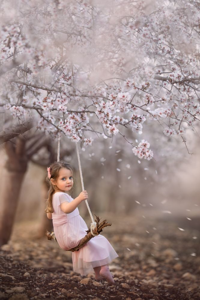 Photograph by Hamutal Avioz