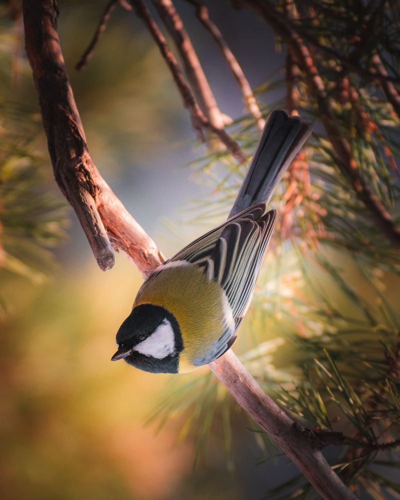 Photograph by Сергей Егоров