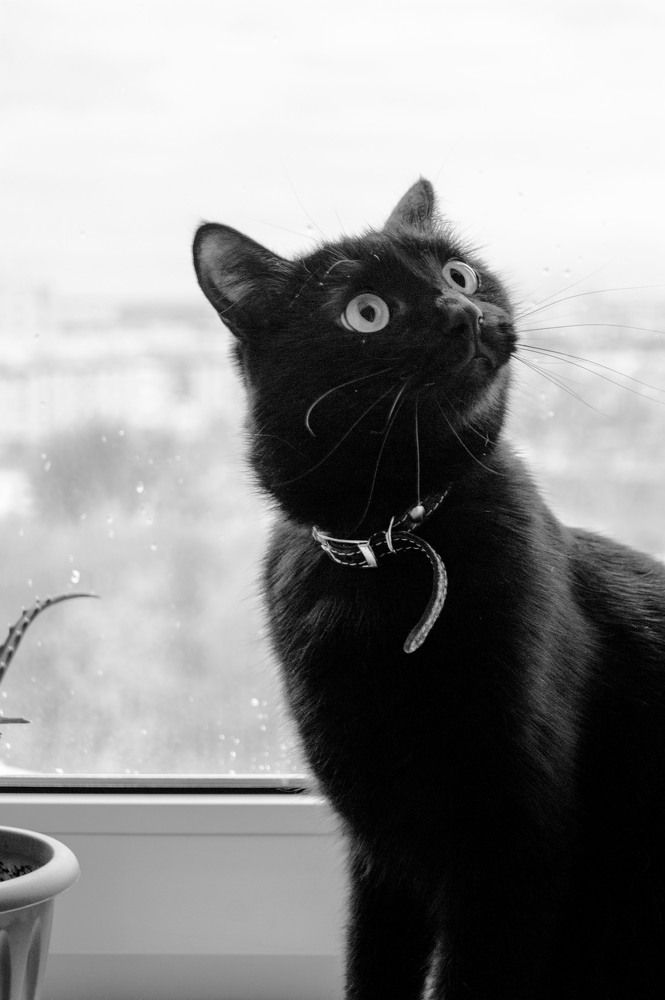 Photograph by Вадим Быстрыкин