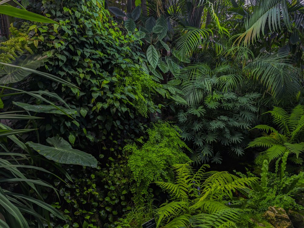 Photograph by Евгений Порсов