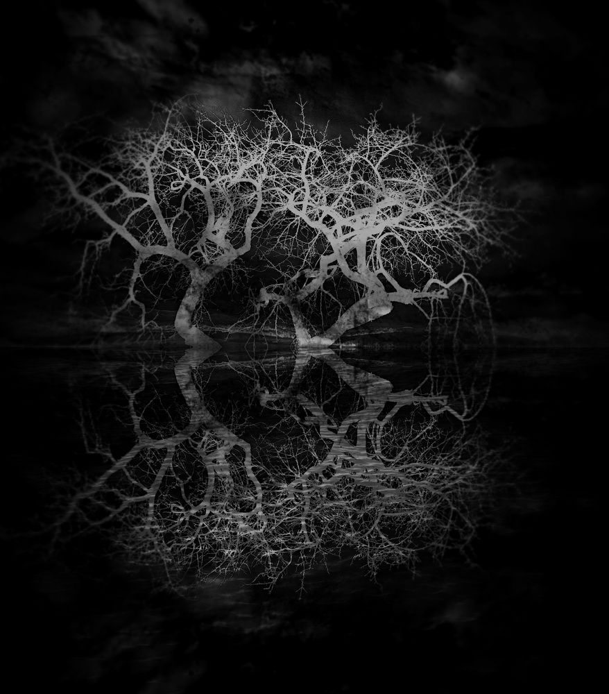 Photograph by Magdalena Kolenicova