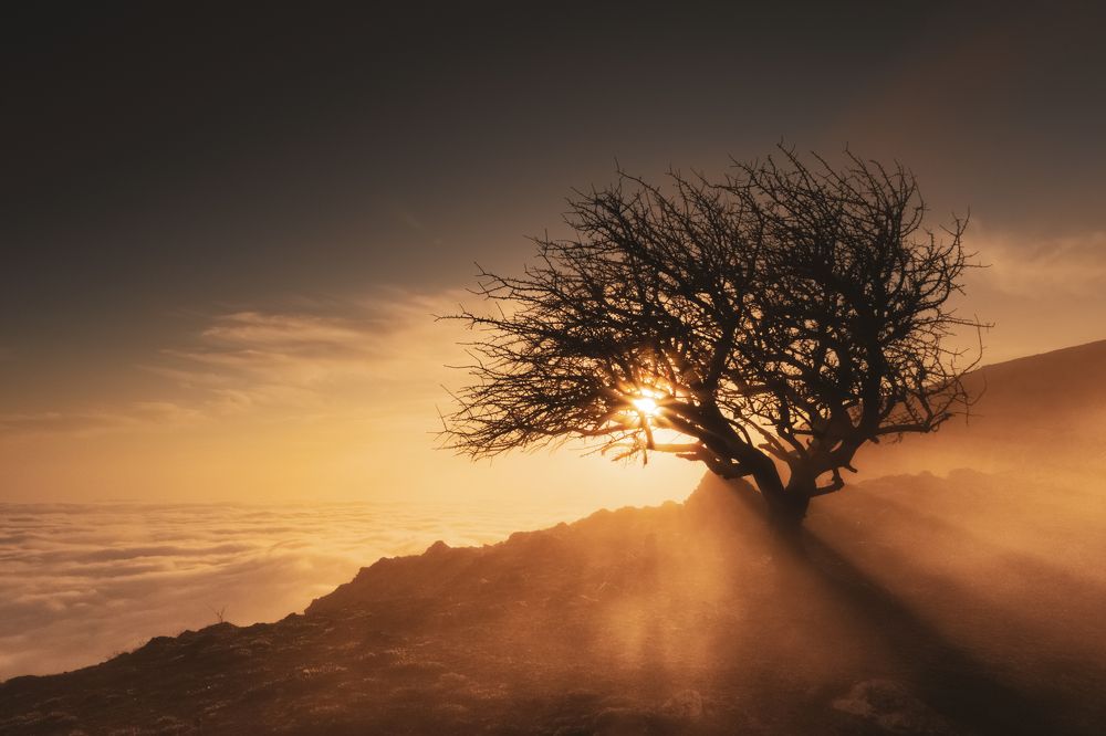 Photograph by Кривцов Андрей